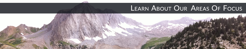 Learn About Our Areas Of Expertise